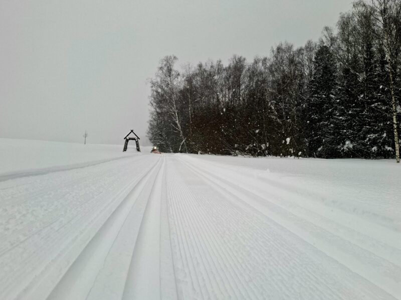 Трасса лыжная .Максима Парк, состояние на 14 февраля 2026 по отзыву, фото 3. 